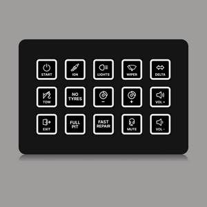 FUTUREDUST sim racing button box icon set — white backlight variant